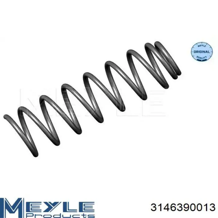  Muelle de suspensión eje delantero para BMW 5 E61