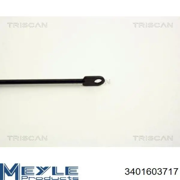  Muelle neumático, capó de motor para BMW 3 E30