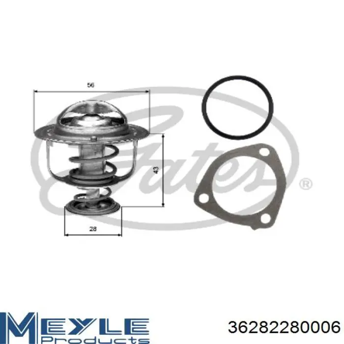 1.880.462S EPS termostato, refrigerante