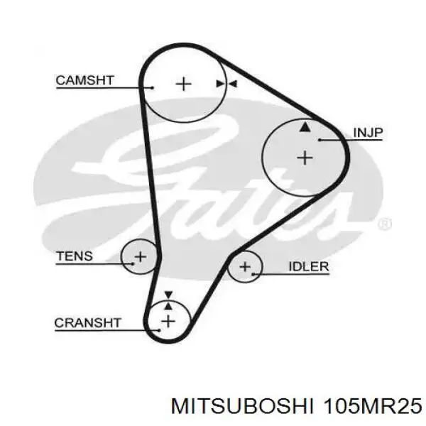 105MR25 Mitsuboshi correa distribucion