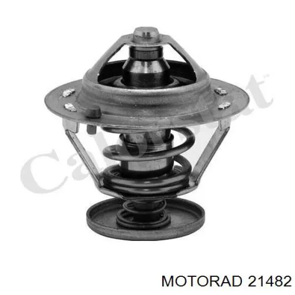 21482 Motorad termostato, refrigerante