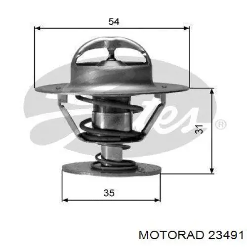 23491 Motorad termostato, refrigerante