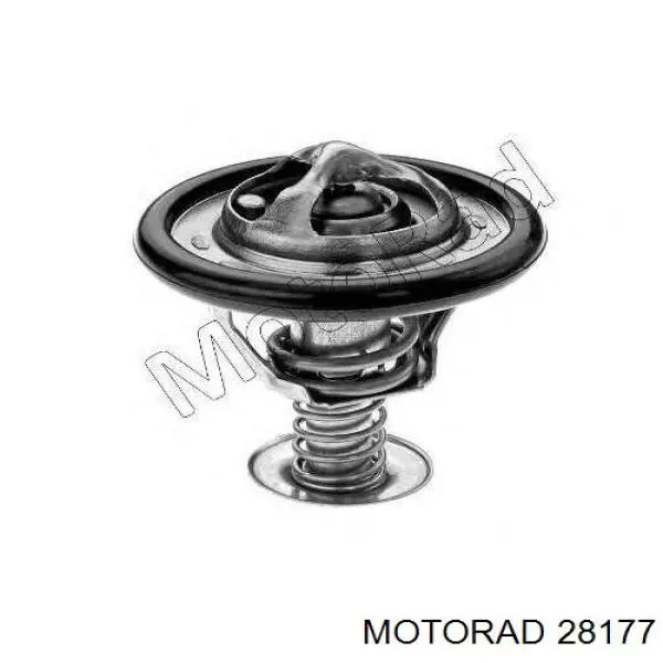 281-77 Motorad termostato, refrigerante