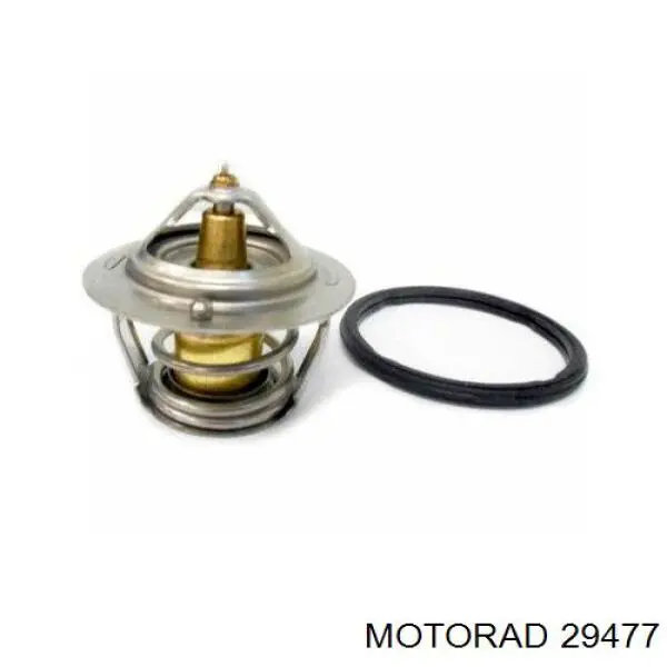 294-77 Motorad termostato, refrigerante