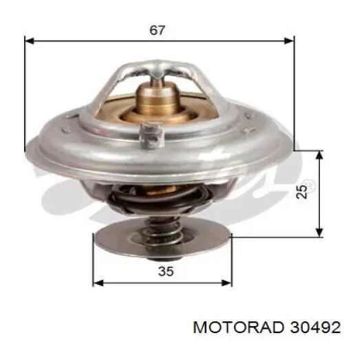 304-92 Motorad termostato, refrigerante