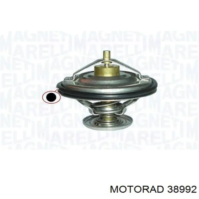 TE0013 Magneti Marelli termostato, refrigerante