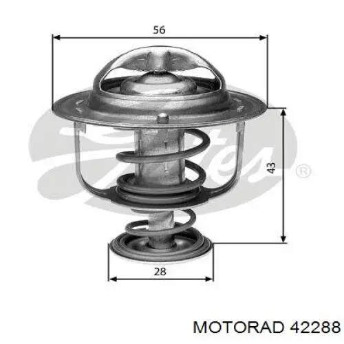 42288 Motorad termostato, refrigerante