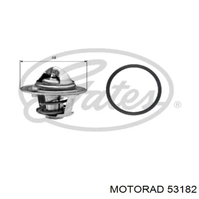 531-82 Motorad termostato, refrigerante