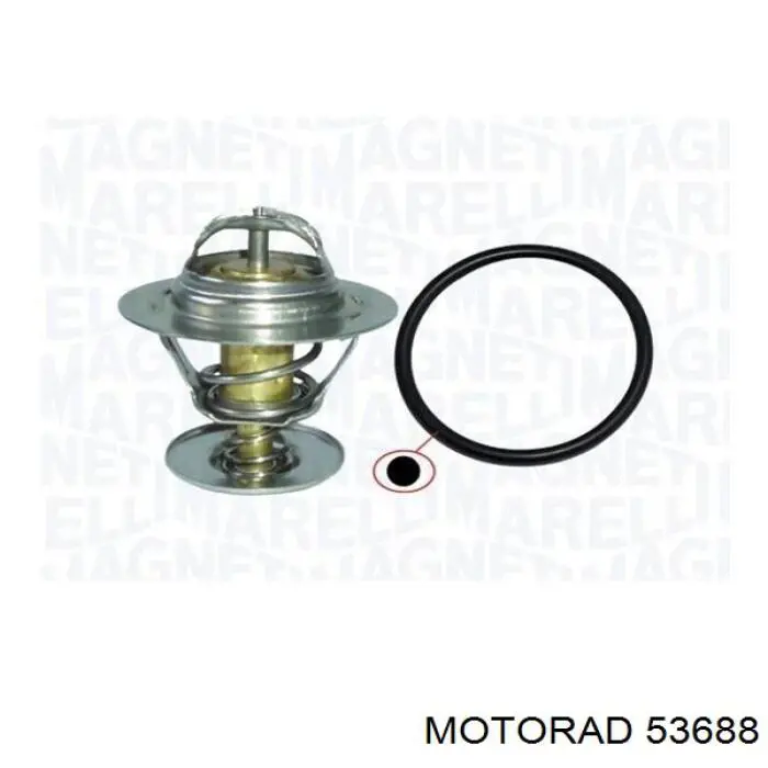 536-88 Motorad termostato, refrigerante