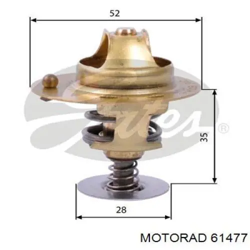 614-77 Motorad termostato, refrigerante