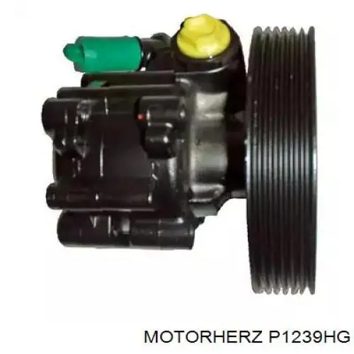 P1239HG Motorherz bomba hidráulica de dirección