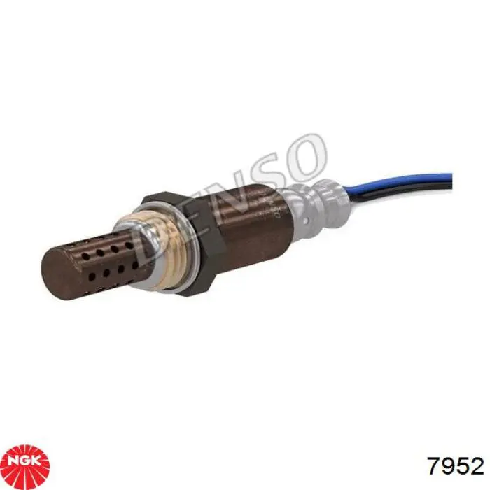 7952 NGK sonda lambda sensor de oxigeno para catalizador