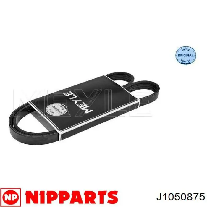 J1050875 Nipparts correa trapezoidal