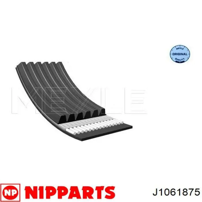 J1061875 Nipparts correa trapezoidal