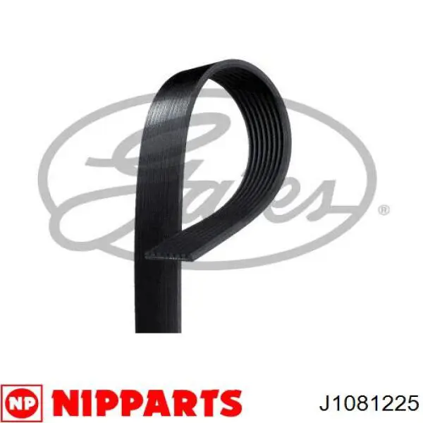 J1081225 Nipparts correa trapezoidal