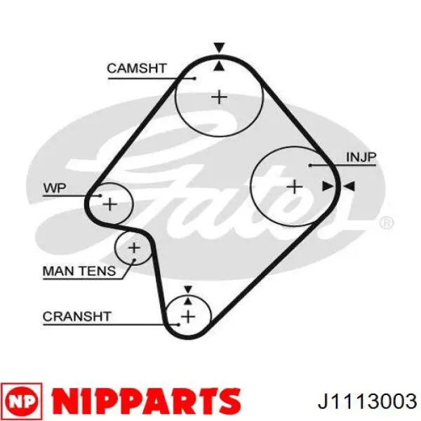 J1113003 Nipparts kit correa de distribución