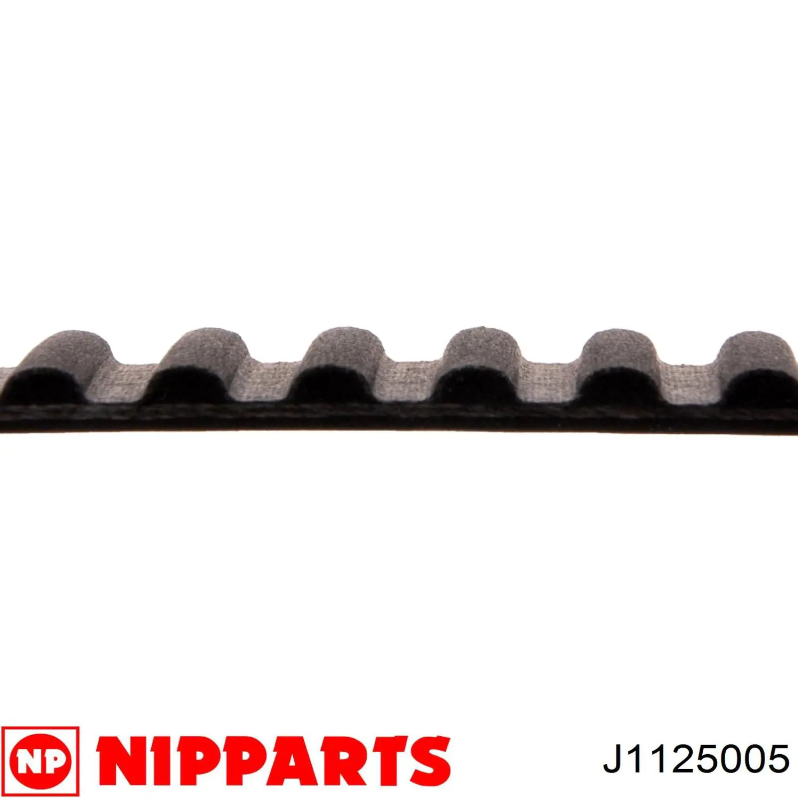 J1125005 Nipparts correa distribucion