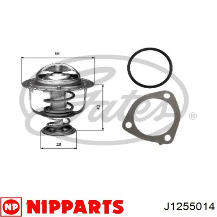 MD301579 Mitsubishi junta de culata