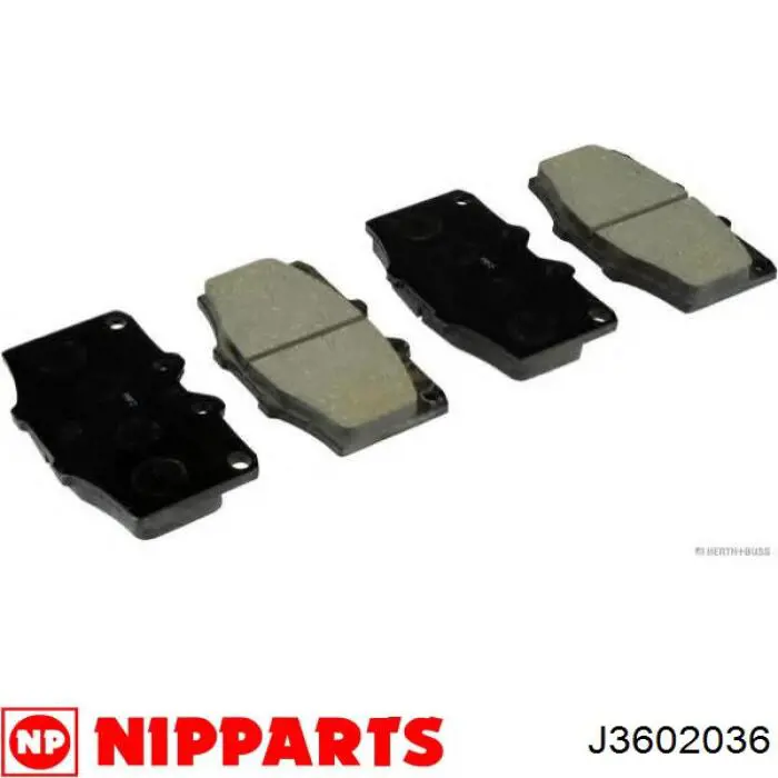 J3602036 Nipparts pastillas de freno delanteras