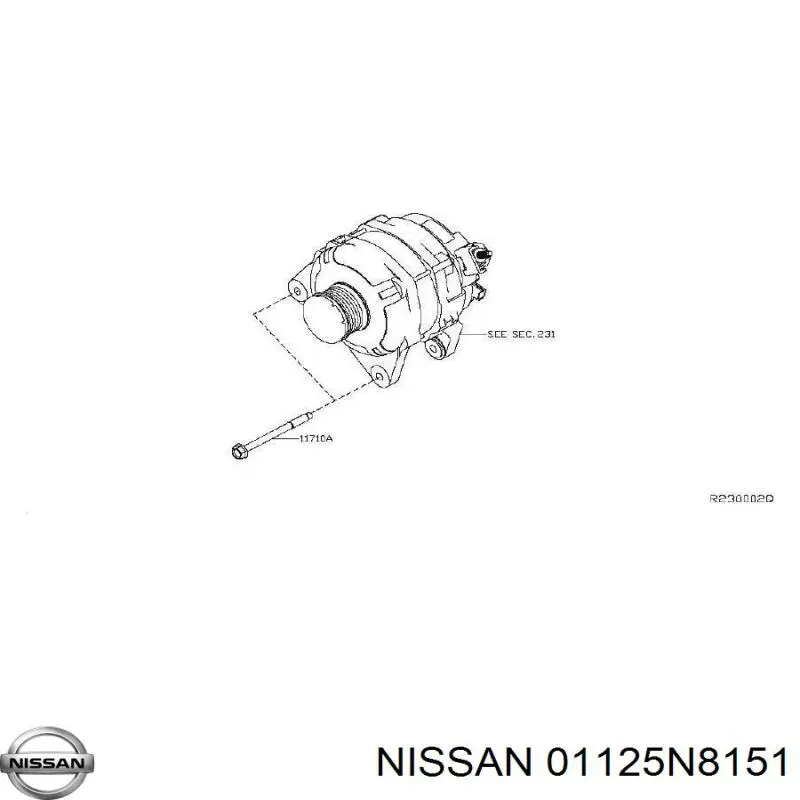 01125N8151 Nissan 