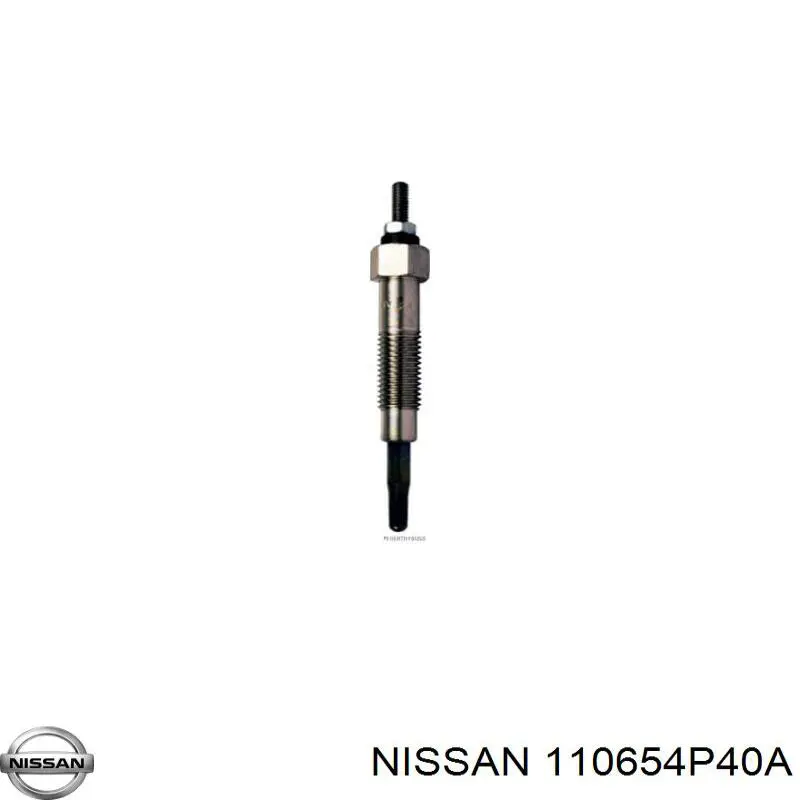 110654P40A Nissan 