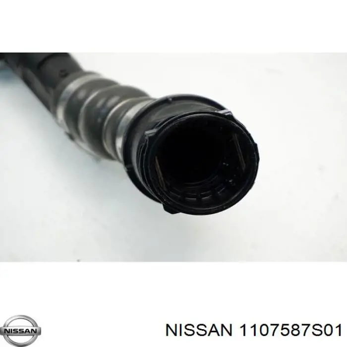 1107587S01 Nissan 