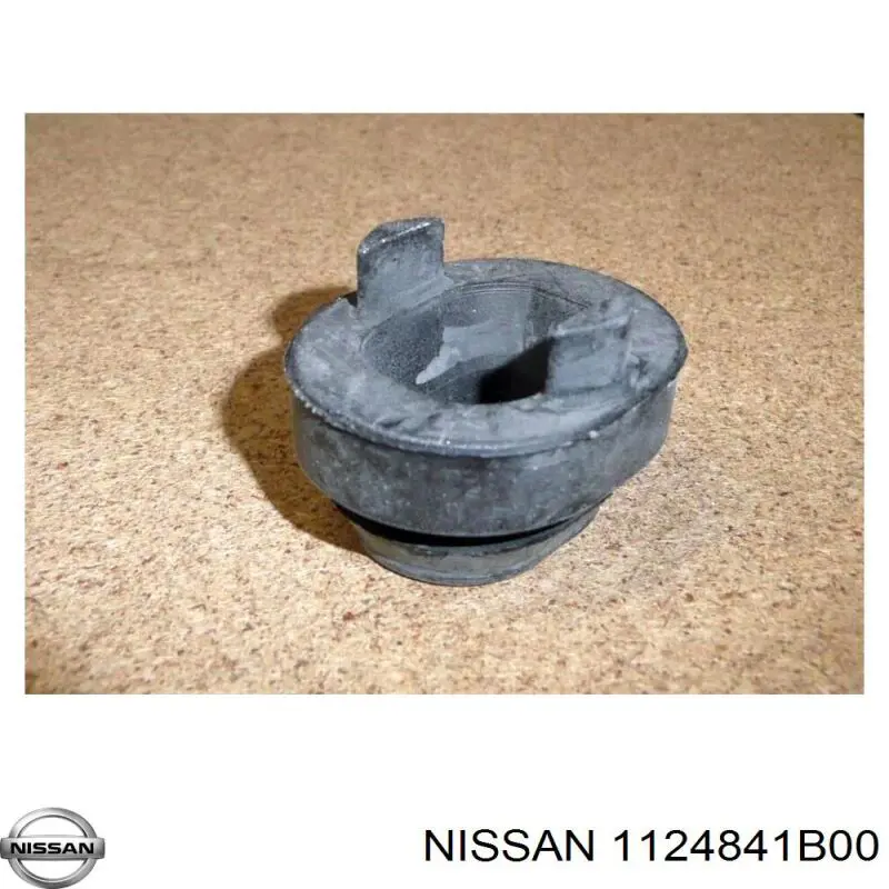 1124841B00 Nissan 