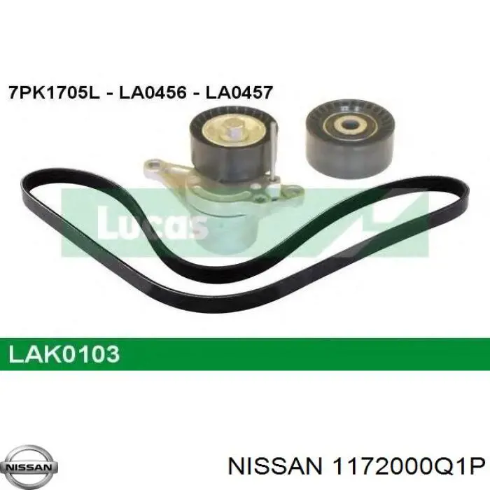 1172000Q1P Nissan correa de transmision, juego completo