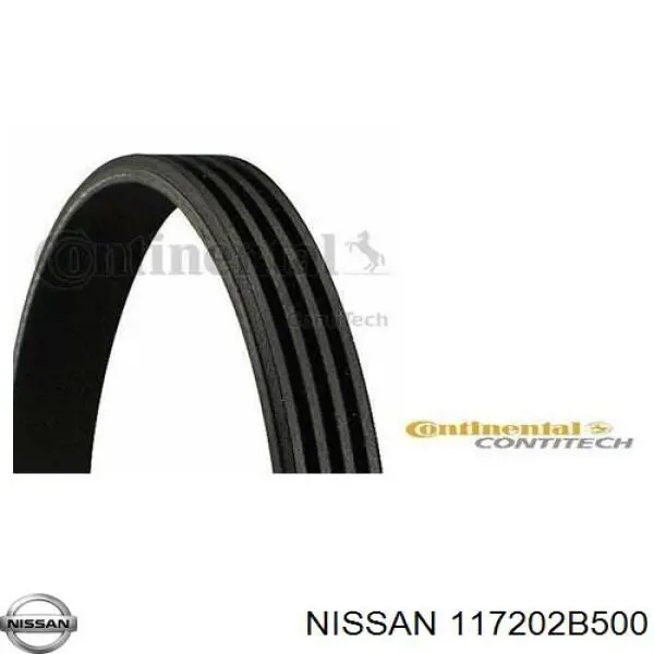 117202B500 Nissan correa trapezoidal