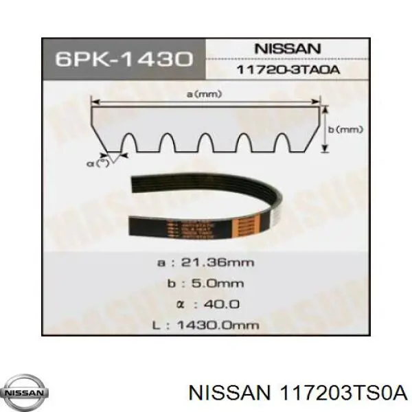 117203TS0A Nissan correa trapezoidal