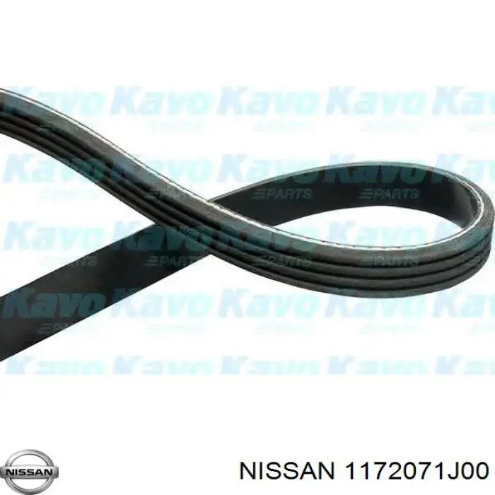 1172071J00 Nissan 