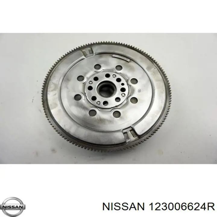 123006624R Nissan volante motor