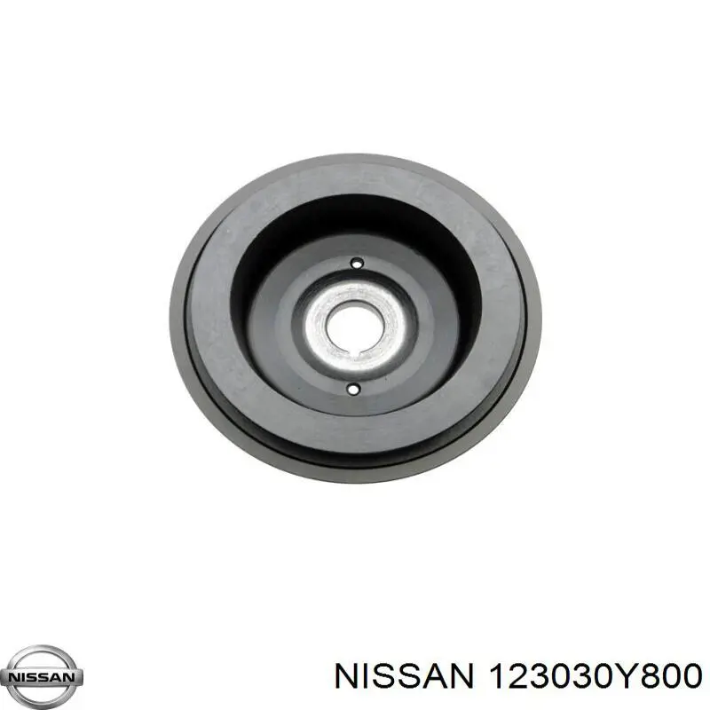 123030Y800 Nissan polea, cigüeñal