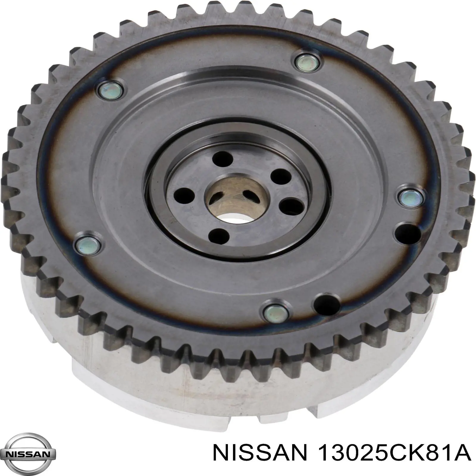  Piñón cadena distribución para Nissan Tiida C11X