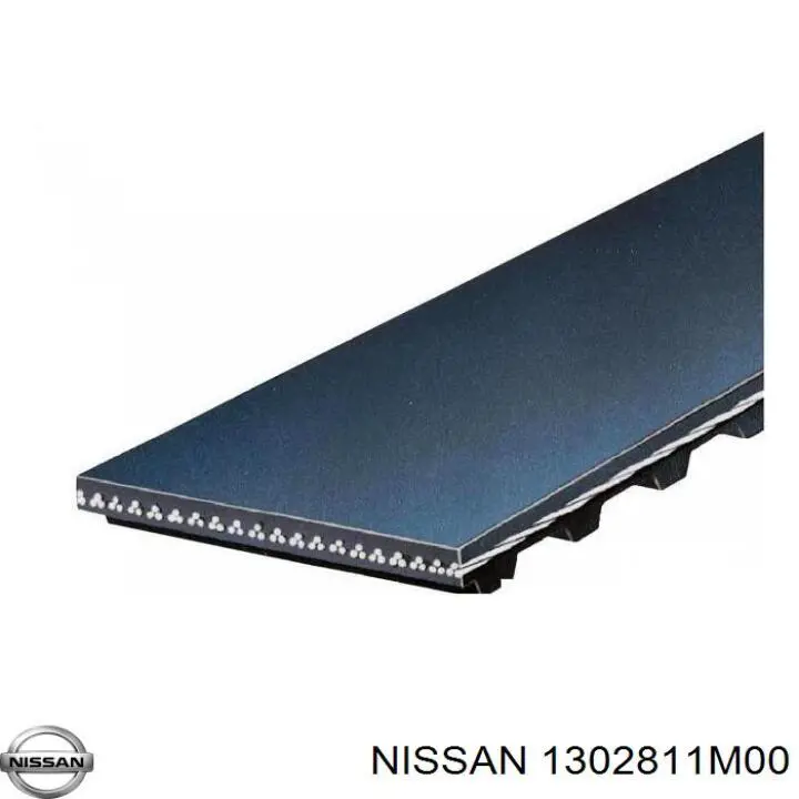 1302811M00 Nissan correa distribucion