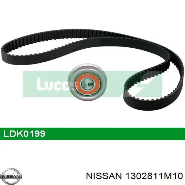 1302811M10 Nissan correa distribucion