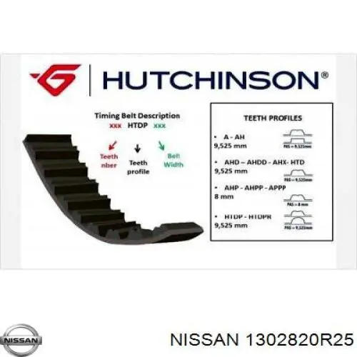 1302820R25 Nissan correa distribucion