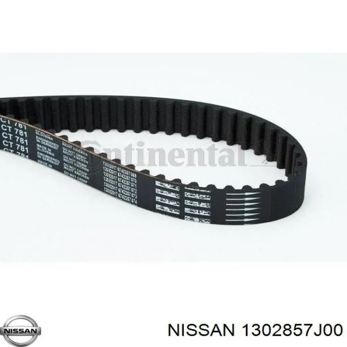 1302857J00 Nissan correa distribucion