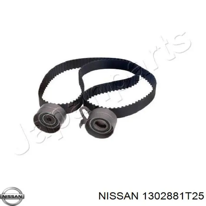 1302881T25 Nissan correa distribucion