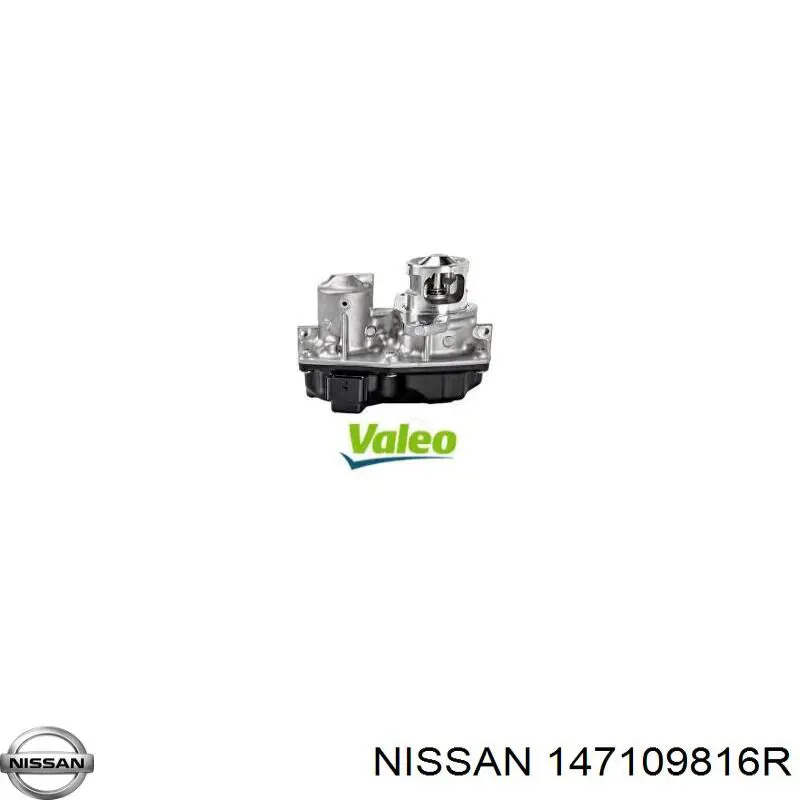 147109816R Nissan válvula, agr