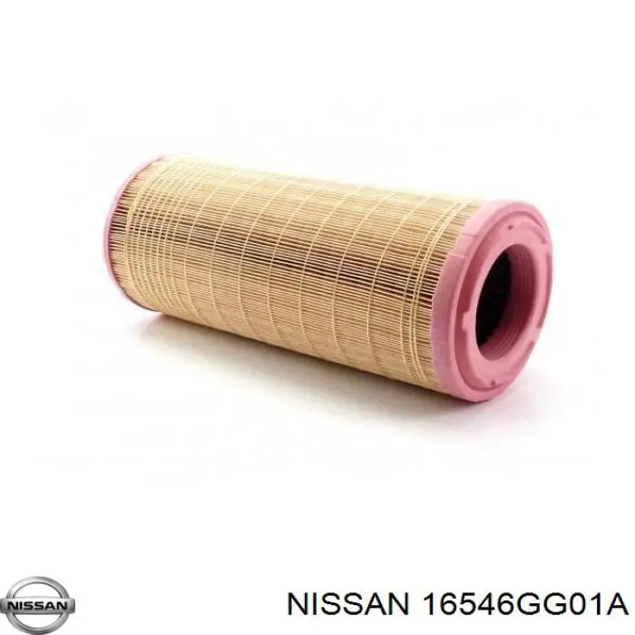 16546GG01A Nissan filtro de aire