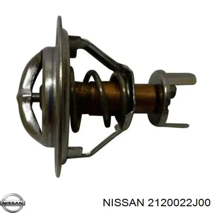 2120022J00 Nissan termostato, refrigerante