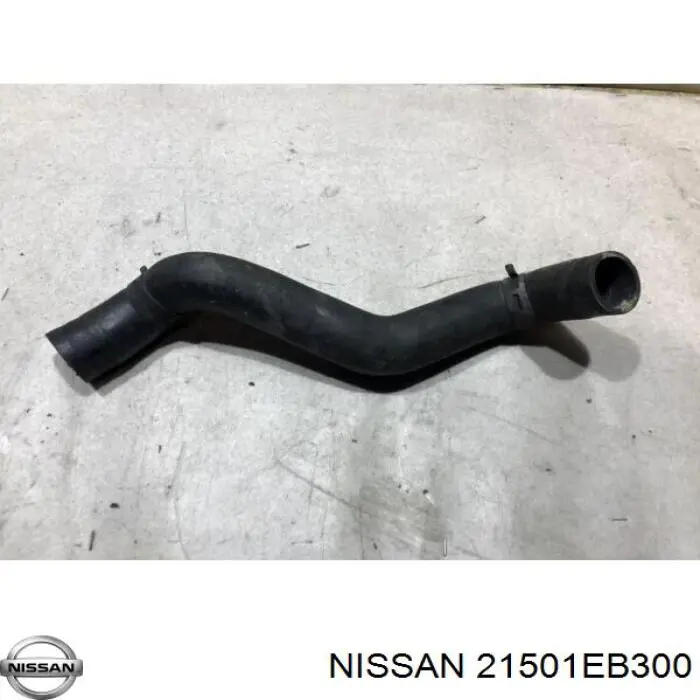 21501EB300 Nissan tubería de radiador arriba