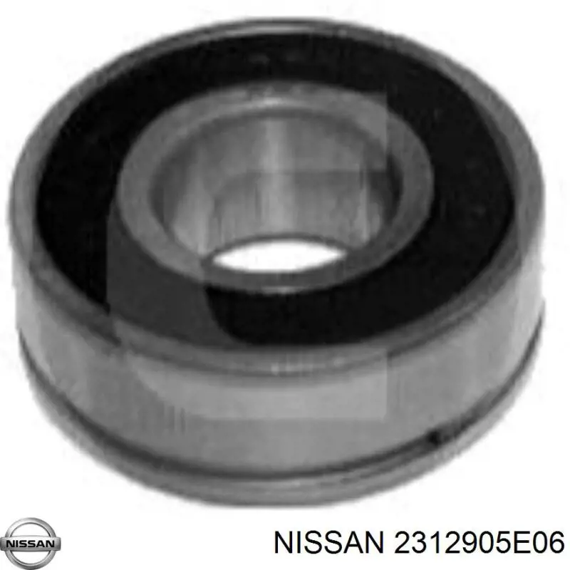 2312905E06 Nissan cojinete, alternador