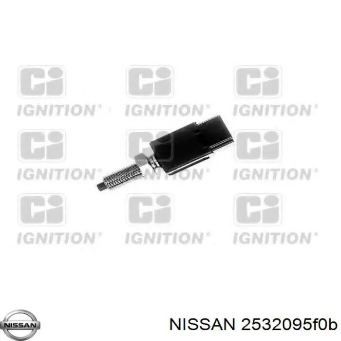 2532095F0B Nissan 