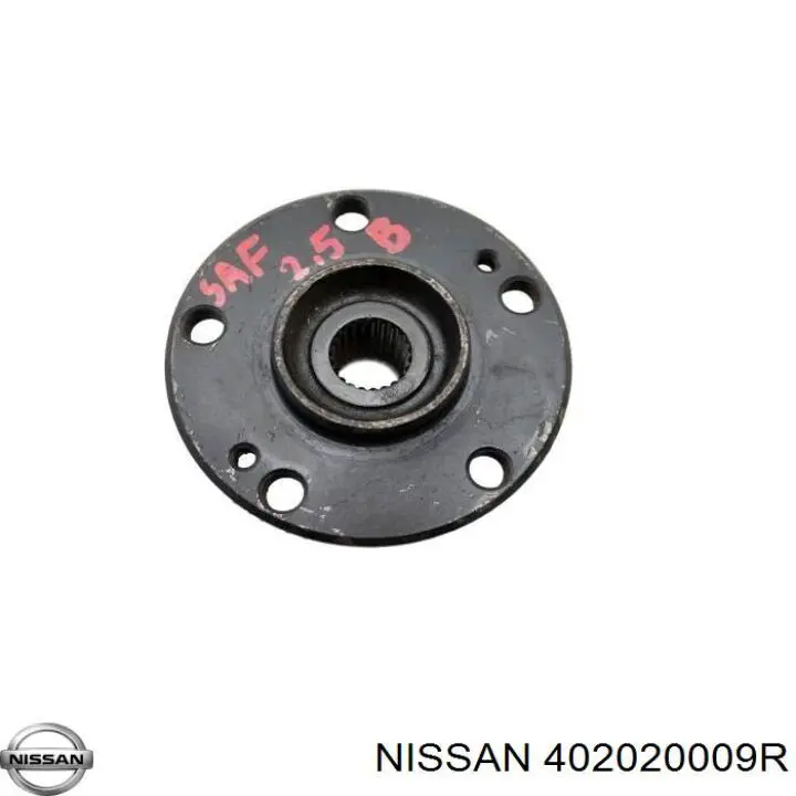 402020009R Nissan cubo de rueda delantero