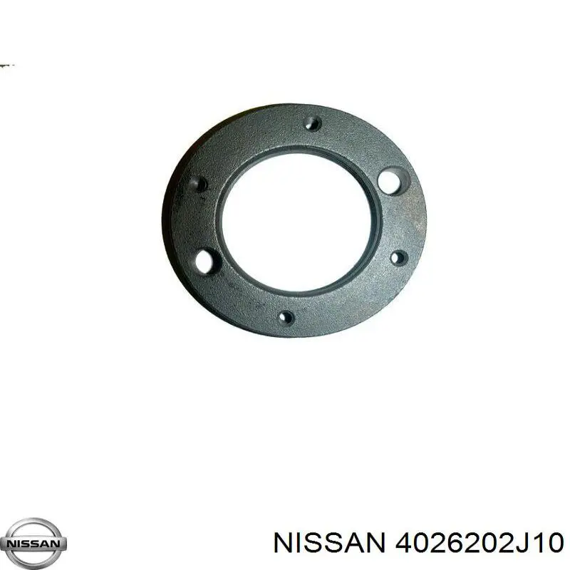 4026202J10 Nissan tuerca, cubo de rueda delantero