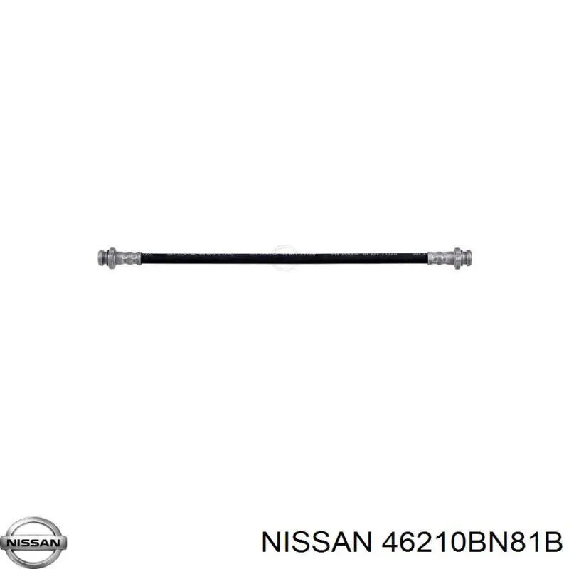 46210BN81B Nissan 