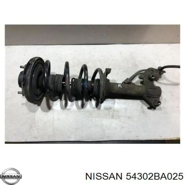 54302BA025 Nissan amortiguador delantero izquierdo