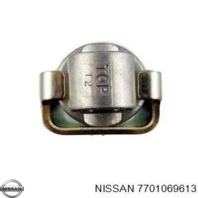 7701069613 Nissan tensor de correa, correa poli v